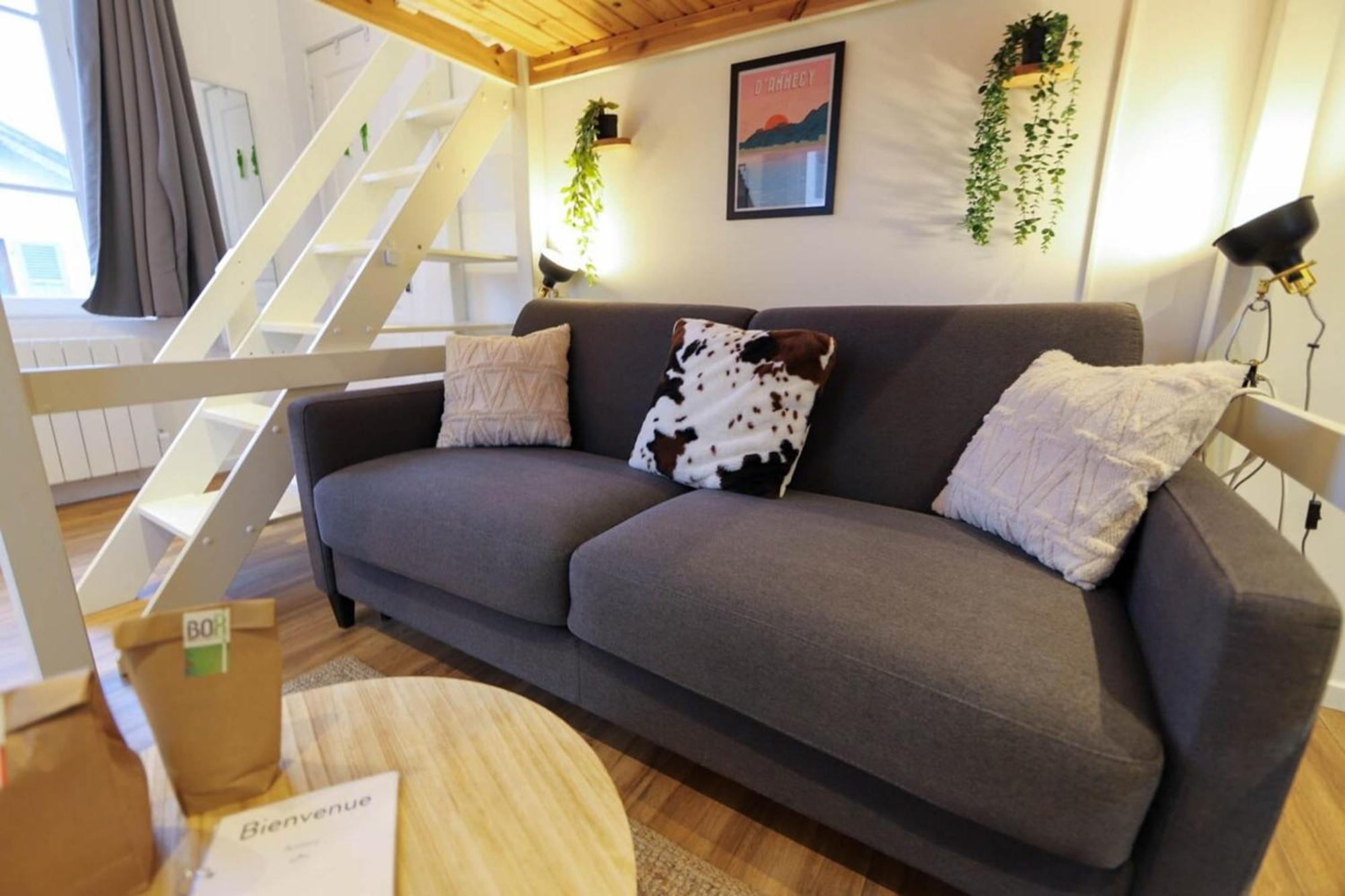 Apartmán Le Petit Plus - Studio Confortable Avec Parking Annecy Exteriér fotografie