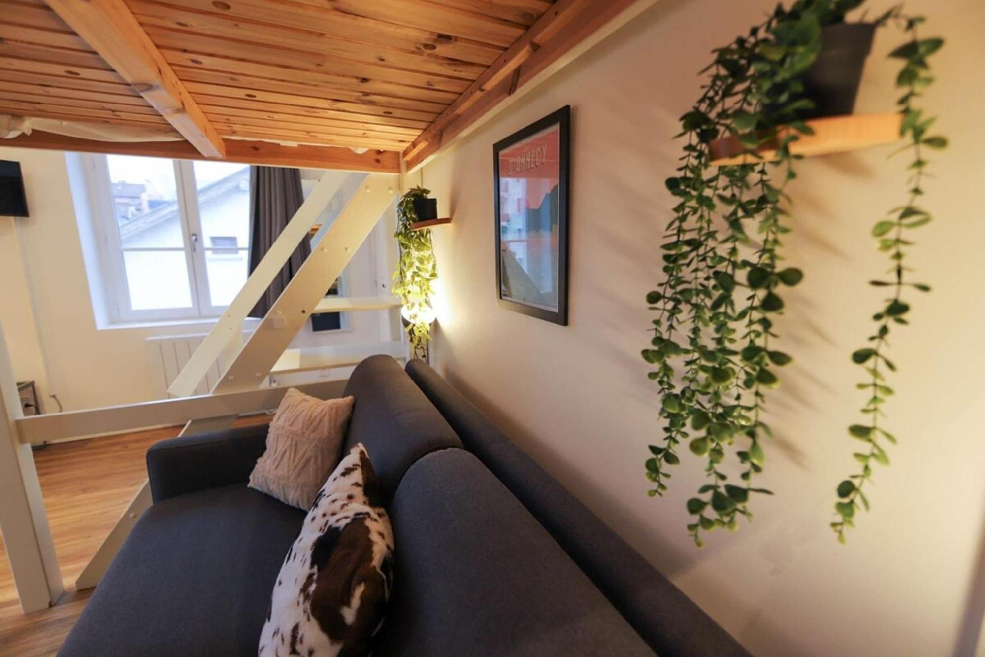 Apartmán Le Petit Plus - Studio Confortable Avec Parking Annecy Exteriér fotografie