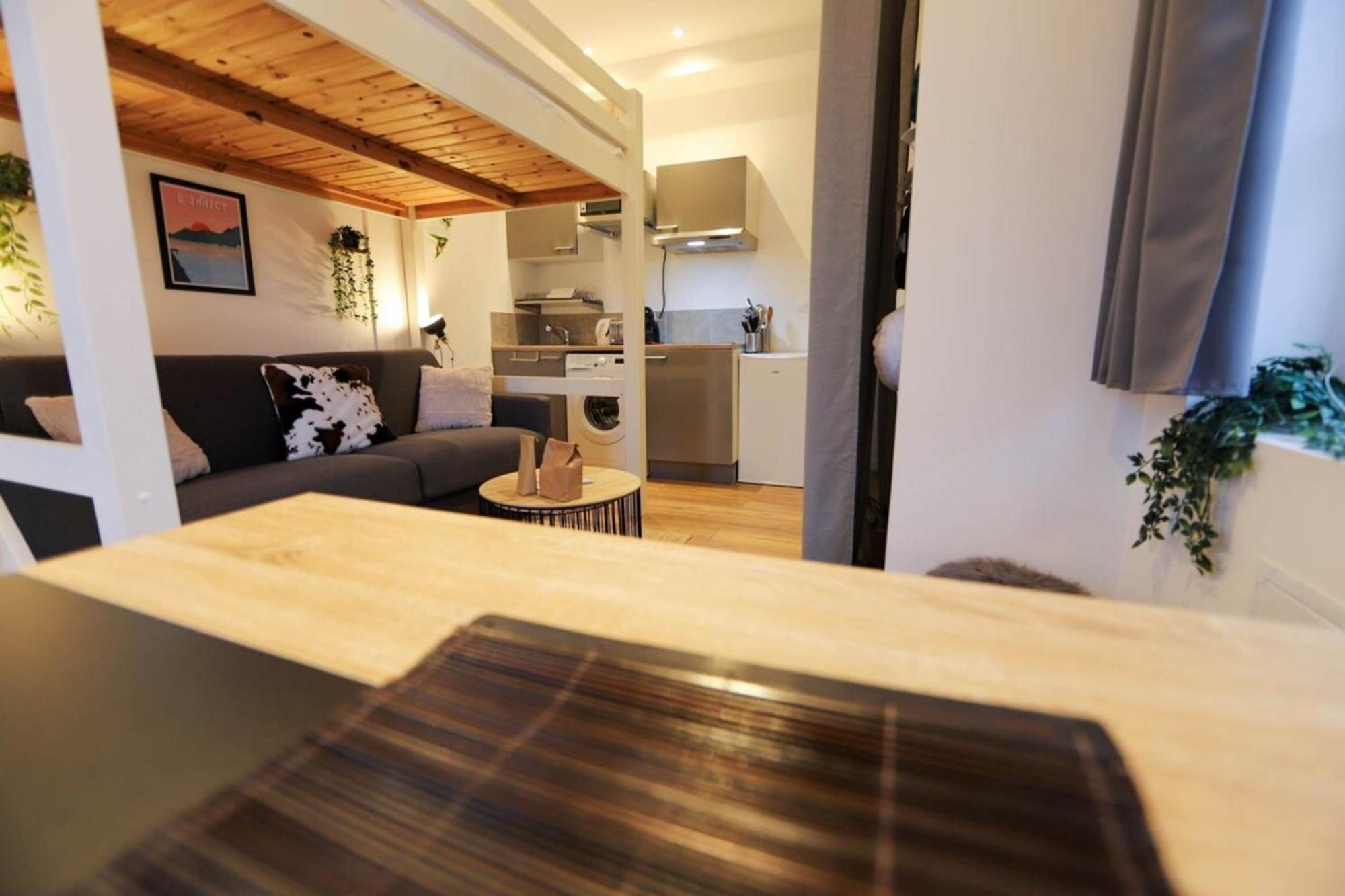 Apartmán Le Petit Plus - Studio Confortable Avec Parking Annecy Exteriér fotografie