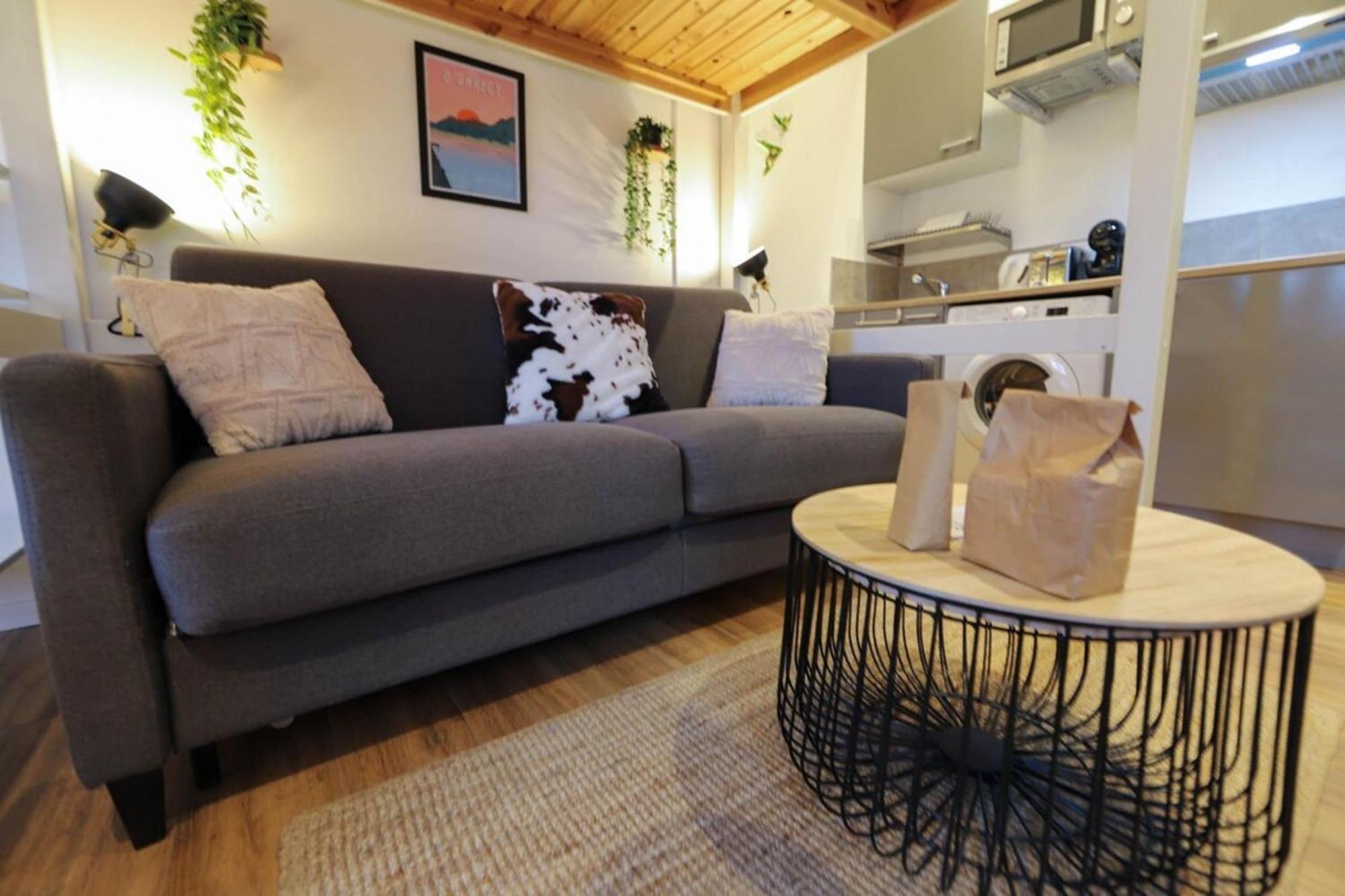 Apartmán Le Petit Plus - Studio Confortable Avec Parking Annecy Exteriér fotografie